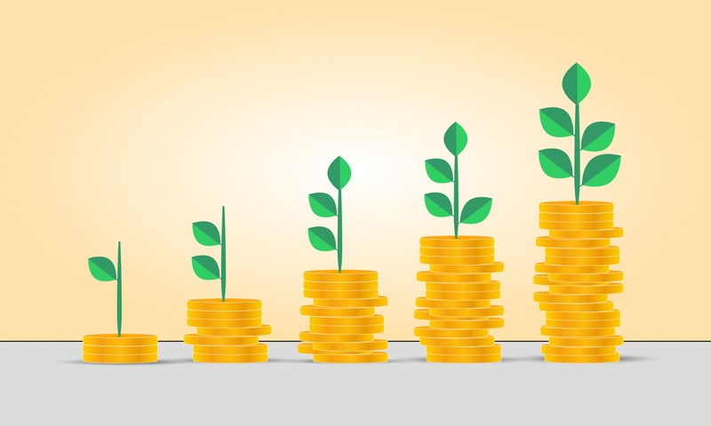 Invest With Us - Growth